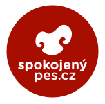 pes-logo